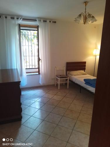 Boh & Boh A casa di Luca and his Cats