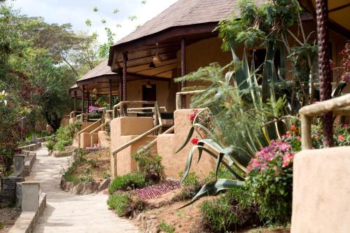 מתקני המלון, Masai Mara Sopa Lodge in Narok מתקני המלון, Masai Mara Sopa Lodge in Narok