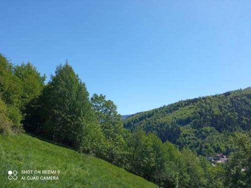 منظر, Gospodarstwo Agroturystyczne in Cisiec منظر, Gospodarstwo Agroturystyczne in Cisiec