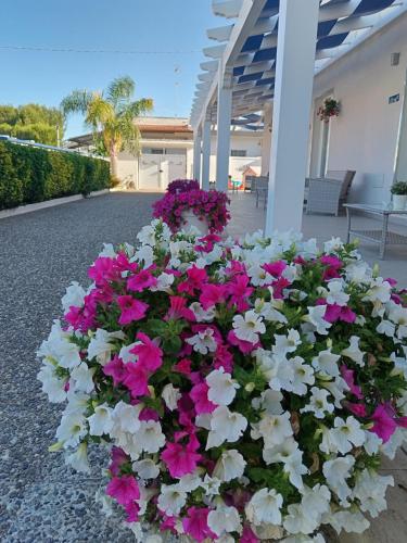 Blu d'aMare B&B in La Strea Blu d'aMare B&B in La Strea