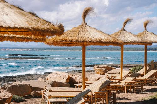 Bikini Island & Mountain Hotel Es Trenc -Adults only- in Ses Salines Bikini Island & Mountain Hotel Es Trenc -Adults only- in Ses Salines