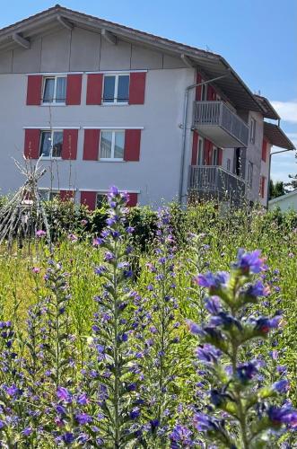 Ferienwohnung Allium in Bad Aibling Ferienwohnung Allium in Bad Aibling