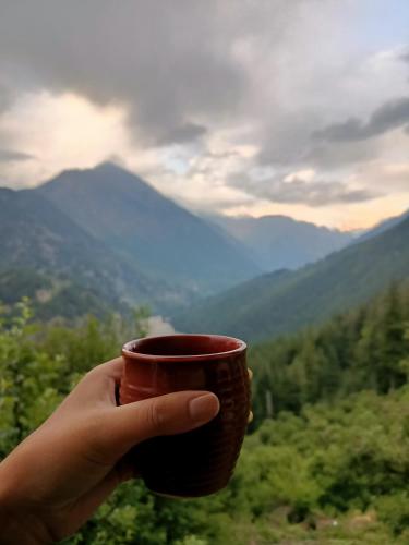 景色, Majestic Heights Homestay in ハルシル 景色, Majestic Heights Homestay in ハルシル