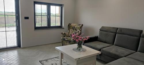 Apartamenty Szepty Mazur in Okragle Apartamenty Szepty Mazur in Okragle