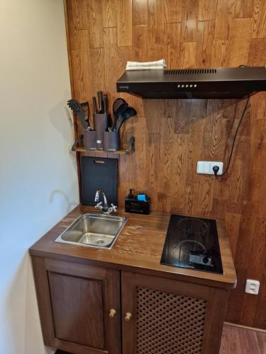 Konyha, Vlčí Jámy (Vlci Jamy) in Lenora Konyha, Vlčí Jámy (Vlci Jamy) in Lenora