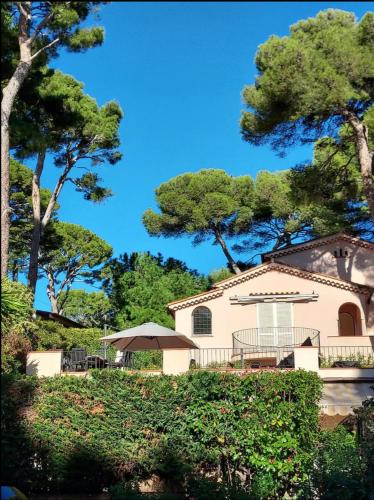 Cap d'Antibes, swimming pool, sea, terrasse