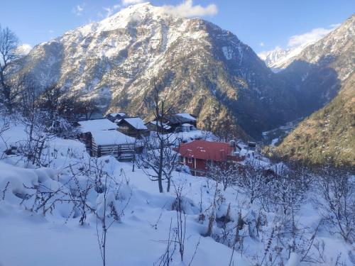 景色, Majestic Heights Homestay in ハルシル 景色, Majestic Heights Homestay in ハルシル