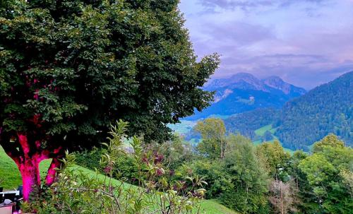 Heidi Chalet Alps - Unique Experience - Authentic Part