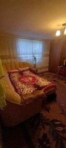 Casa in Hinceşti Casa in Hinceşti