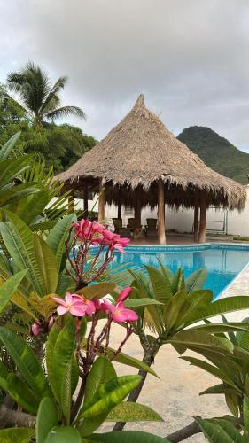 Caribbean Loft near Playa El Agua in El Salado Caribbean Loft near Playa El Agua in El Salado