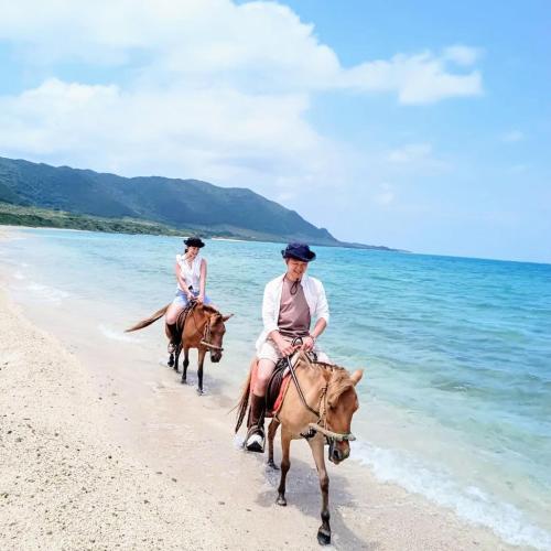 Horseback riding, 明石 美ら馬ハウス in Akaishi Beach Horseback riding, 明石 美ら馬ハウス in Akaishi Beach