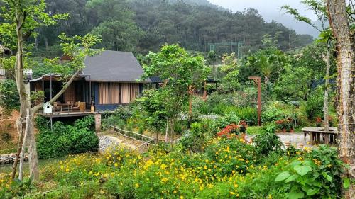 Soc Son - Bird House in Xuan Bang Soc Son - Bird House in Xuan Bang