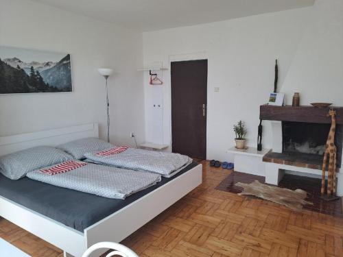 apartmán s krbem (apartman s krbem) in สลาโวนิน apartmán s krbem (apartman s krbem) in สลาโวนิน