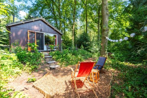 Garden, Cozy Tiny House between Veluwe en Veluwemeer - with free use of bikes in Ermelo Garden, Cozy Tiny House between Veluwe en Veluwemeer - with free use of bikes in Ermelo