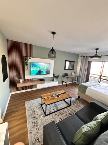 Luxury modern studio apartment