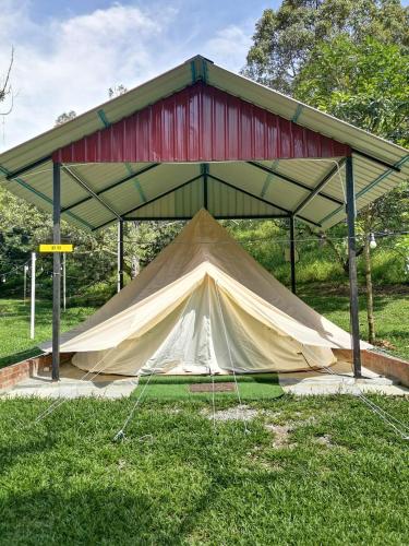 Rasa Durio Eco Glampz in Rasa Rasa Durio Eco Glampz in Rasa