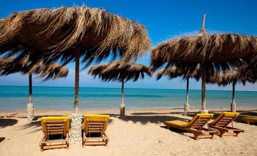 Mousa coast Resort شالية كامل للايجار موسي كوست in Ras Sedr Mousa coast Resort شالية كامل للايجار موسي كوست in Ras Sedr