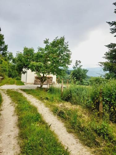 Cozy Tiny House plus SPA - à Pereille d'en Haut (Cozy Tiny House plus SPA - a Pereille d'en Haut) in Villeneuve D'Olmes Cozy Tiny House plus SPA - à Pereille d'en Haut (Cozy Tiny House plus SPA - a Pereille d'en Haut) in Villeneuve D'Olmes