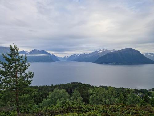 אטרקציות קרובות, Cozy Retreat in the Heart of Ålesund (Cozy Retreat in the Heart of Alesund) in אלסונד אטרקציות קרובות, Cozy Retreat in the Heart of Ålesund (Cozy Retreat in the Heart of Alesund) in אלסונד