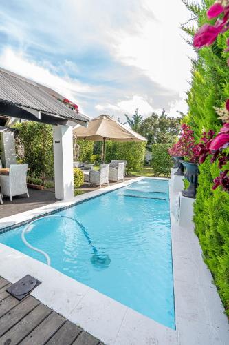 Kolam renang, Sir Napier Boutique Guest House in Napier Kolam renang, Sir Napier Boutique Guest House in Napier