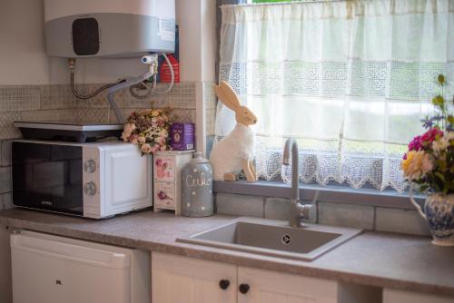 кухня, Gitta35 Vendégház - Zalakaros (Gitta35 Vendeghaz - Zalakaros) in Залакарош кухня, Gitta35 Vendégház - Zalakaros (Gitta35 Vendeghaz - Zalakaros) in Залакарош