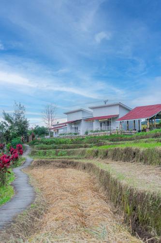 Surrounding environment, Santya Loka Lodge near Jatiluwih Green Land Surrounding environment, Santya Loka Lodge near Jatiluwih Green Land
