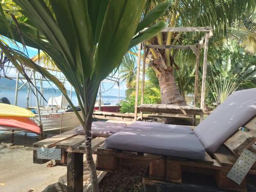 ビーチ, Les poissons du lagon YH in ライアテア ビーチ, Les poissons du lagon YH in ライアテア