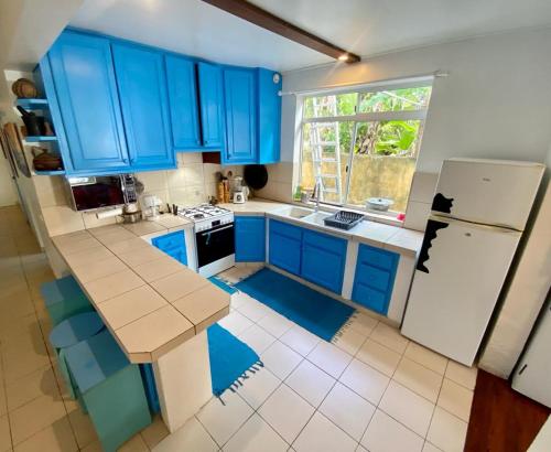 キッチン, Les poissons du lagon YH in ライアテア キッチン, Les poissons du lagon YH in ライアテア