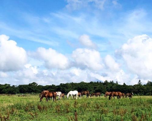 Surrounding environment, 제주스럼 커플룸 1호 near Hallasan Seongpanak Surrounding environment, 제주스럼 커플룸 1호 near Hallasan Seongpanak