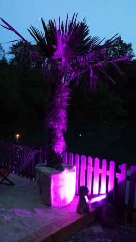 This photo about Waldhotel Zur Holzmuhle shared on HyHotel.com