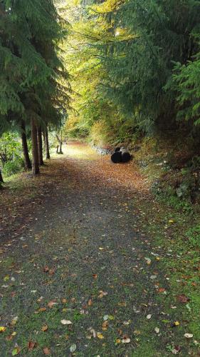 This photo about Waldhotel Zur Holzmuhle shared on HyHotel.com