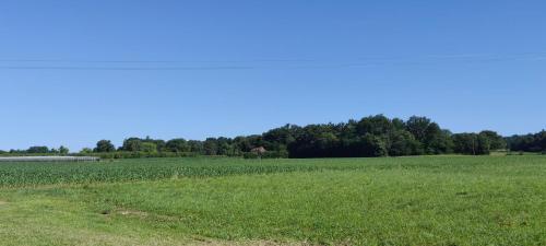 景觀, Maison Hestia 70m2 5 personnes, pleine campagne proximité d'Orthez (Maison Hestia 70m2 5 personnes, pleine campagne proximite d'Orthez) in 阿加農 景觀, Maison Hestia 70m2 5 personnes, pleine campagne proximité d'Orthez (Maison Hestia 70m2 5 personnes, pleine campagne proximite d'Orthez) in 阿加農