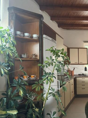 Classic apartment Meronas in Stavros Classic apartment Meronas in Stavros