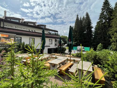 Hotel Bohemia in เซเลซนา รูดา Hotel Bohemia in เซเลซนา รูดา