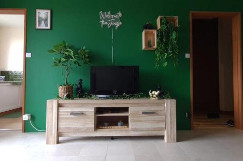 Instalaciones, Appartement thème jungle (Appartement theme jungle) in Avallon Instalaciones, Appartement thème jungle (Appartement theme jungle) in Avallon