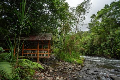 Aquapark, River Song's Hotel in Mindo Aquapark, River Song's Hotel in Mindo