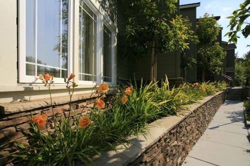 在meiguo.com看到的Avila Village Inn的介绍图片