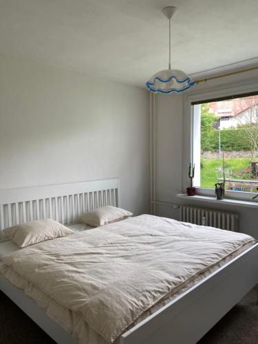 Apartmán Pod Studenou Horou (Apartman Pod Studenou Horou) in Ροκίτνιτσε ναντ Ζιζέρου Apartmán Pod Studenou Horou (Apartman Pod Studenou Horou) in Ροκίτνιτσε ναντ Ζιζέρου