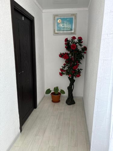 Hostel,halal Хостел,халал in Tokmok Hostel,halal Хостел,халал in Tokmok