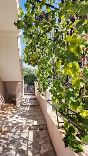 Villa Vukic in Krimovica Villa Vukic in Krimovica