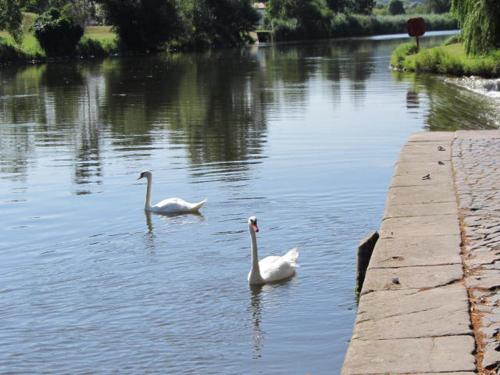 This photo about Haus Alice shared on HyHotel.com