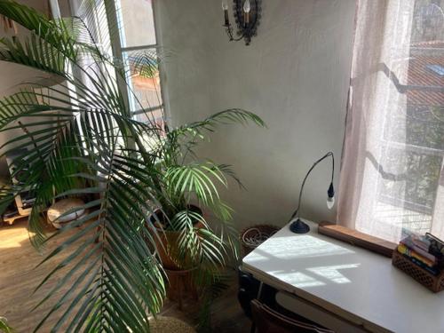 Appartement terrasse vue panoramique au coeur du Panier