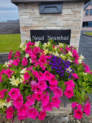 Nead Neamhaí (Nead Neamhai) in Coolcorocoran Area Nead Neamhaí (Nead Neamhai) in Coolcorocoran Area