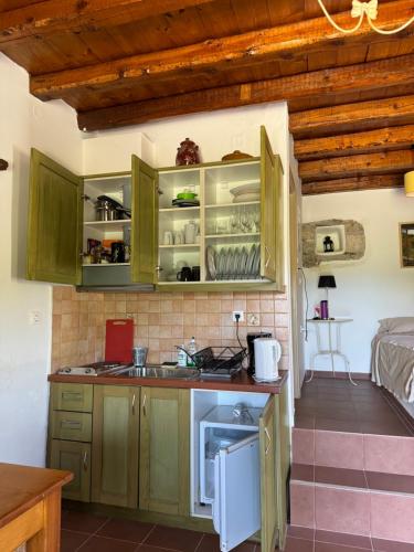 Mountain Retreat studio in Varvitsa Lakonias Mountain Retreat studio in Varvitsa Lakonias