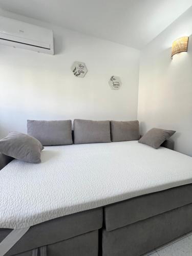 Estudio Coral la Pineda