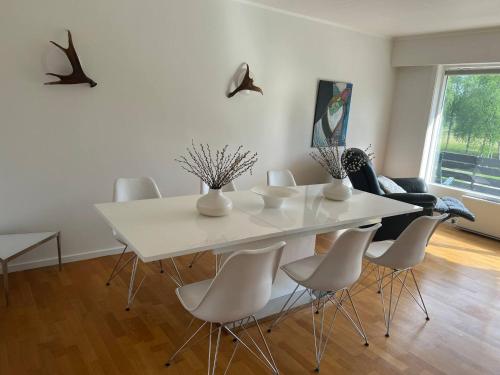 Stor leilighet på Finnskogen - stillhet og ro (Stor leilighet pa Finnskogen - stillhet og ro) in Kongsvinger Stor leilighet på Finnskogen - stillhet og ro (Stor leilighet pa Finnskogen - stillhet og ro) in Kongsvinger