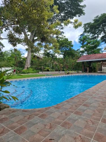 Forest garden residence in بيلر Forest garden residence in بيلر