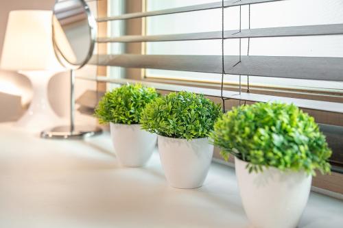 スタジオ 41St. レジデンス7