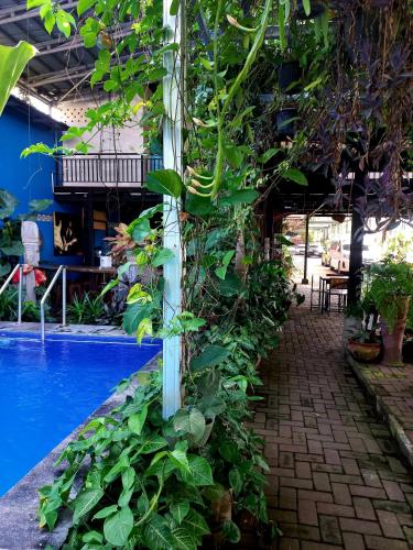 Hotel Omah Cepit near Kasongan Travel Village Hotel Omah Cepit near Kasongan Travel Village