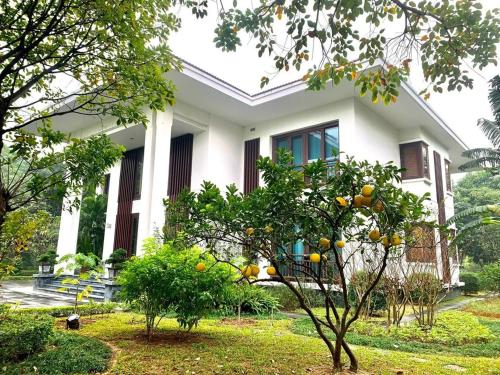 NCC Garden Villas in Trung Hoa Nhan Chinh NCC Garden Villas in Trung Hoa Nhan Chinh